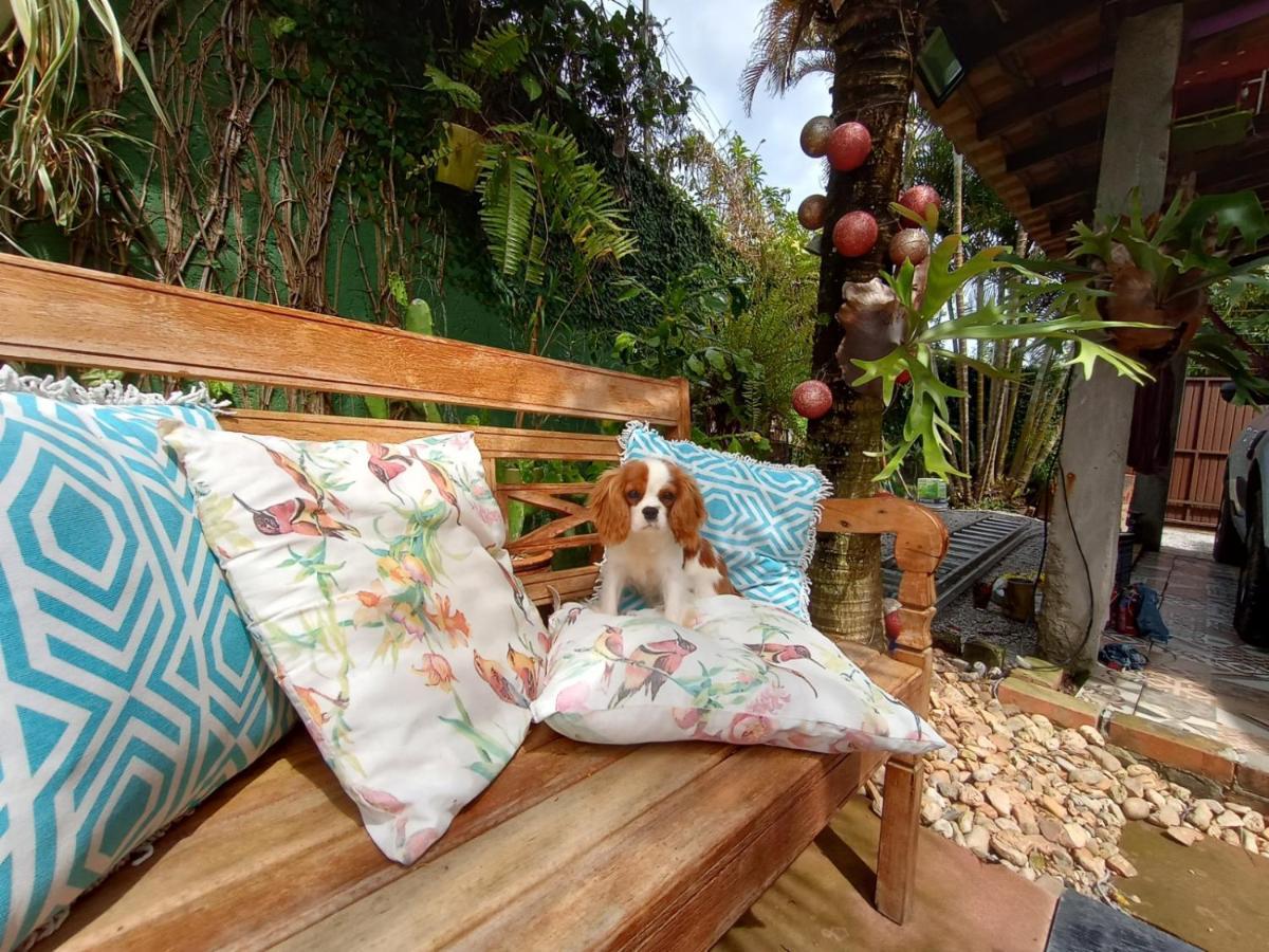 Pousada Zaua Guest House フロリアノポリス エクステリア 写真